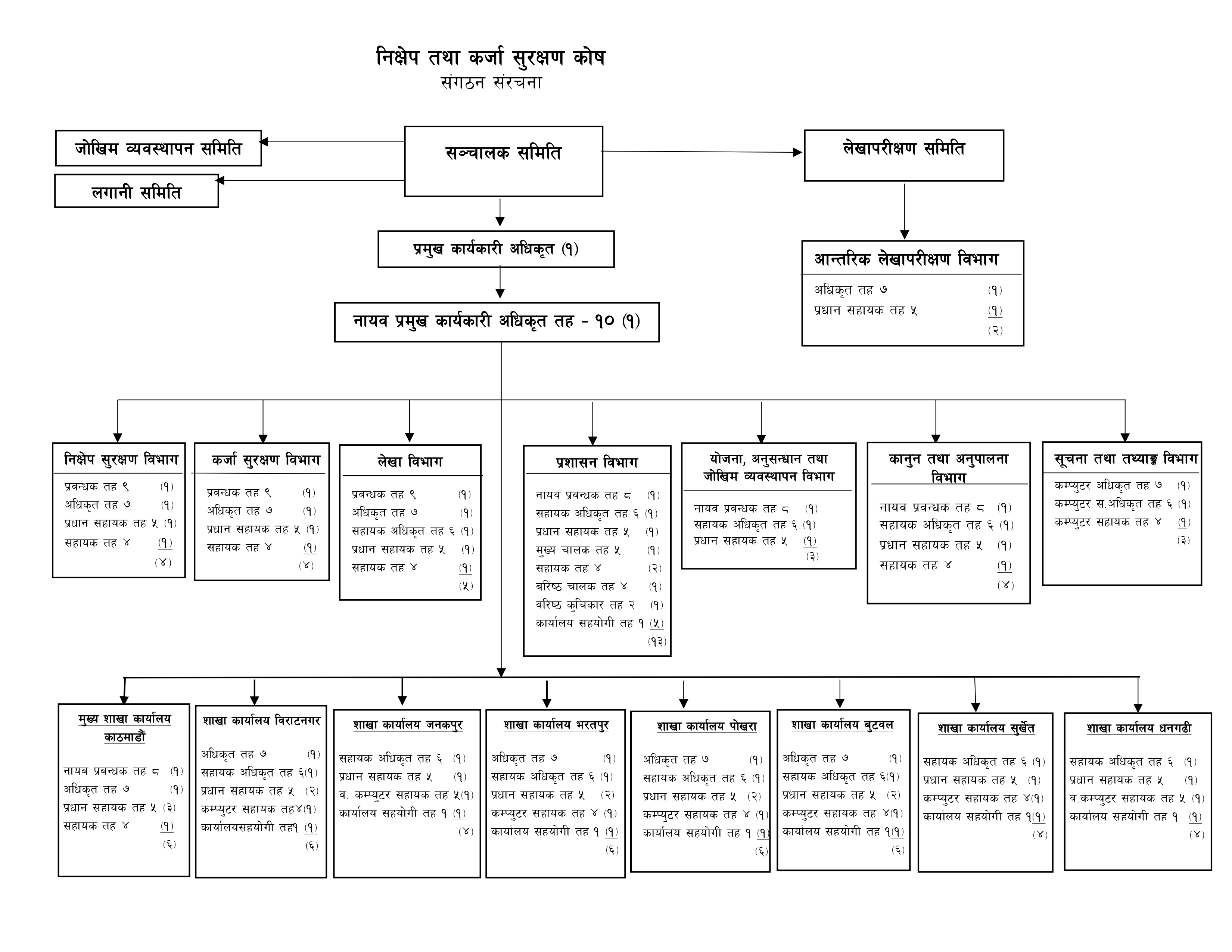 Organization Structure